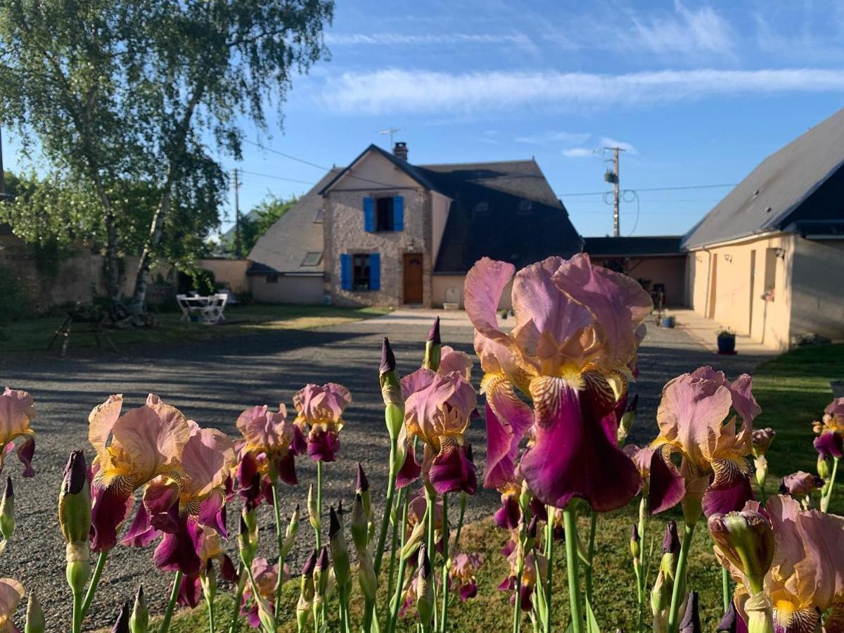 Les Logis Du Breuil Bed & Breakfast Marchéville Exterior foto